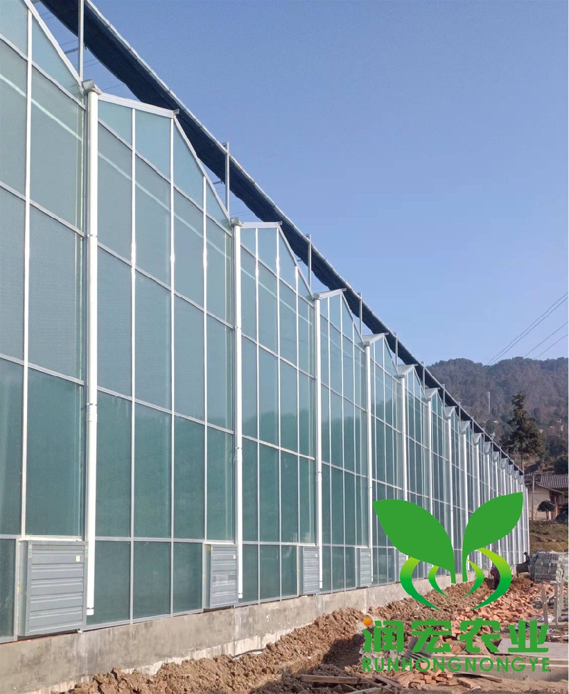 四川通江縣鐵佛鎮(zhèn)溫室大棚建設(shè)項(xiàng)目