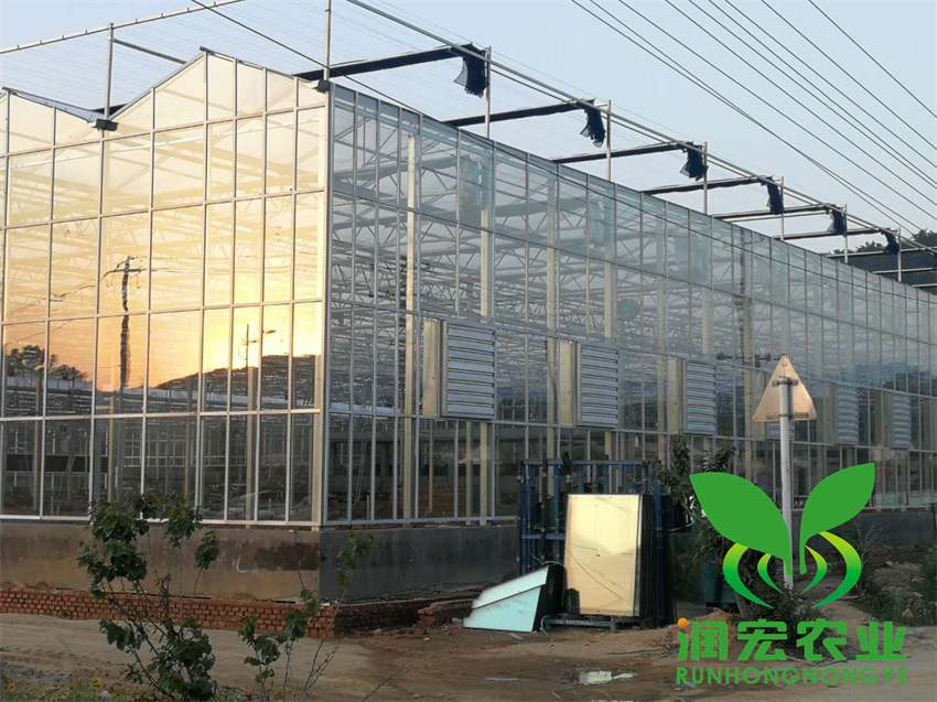 煙臺(tái)安德利溫室大棚建設(shè)工程